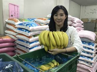 500斤香蕉呷免驚 明嘉縣竹崎農會大放送
