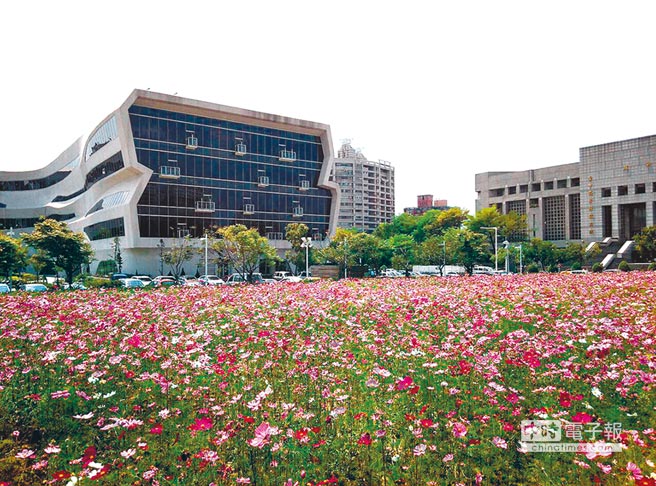 台中打造曲線花海8月迎賓 生活新聞 中國時報