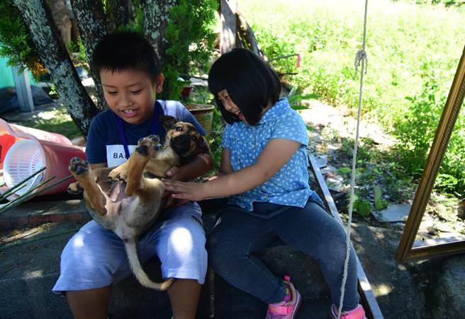 毒狗頻傳一晚10犬慘遭毒死 社會 中時