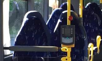 公車空位看成女穆斯林 反移民團體被酸「有事嗎」