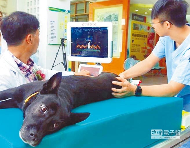 校友回饋贈屏科大寵物心臟超音波 地方新聞 中國時報