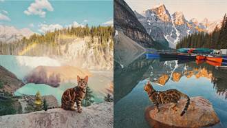 跟著萌萌貓咪探訪加拿大奇景！加拿大豹貓Suki這10張美照讓你立刻想出國