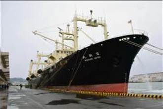 以科研之名 日本船隻年捕殺177條鯨魚
