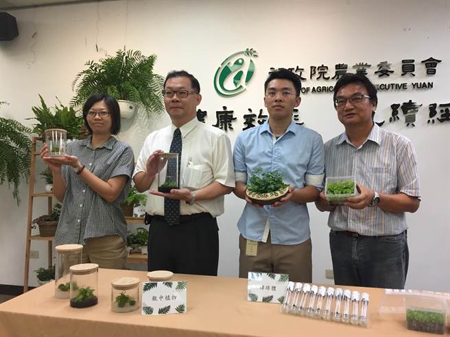 綠球體 繁殖突破蕨類將搶食10億元盆花市場 生活 中時