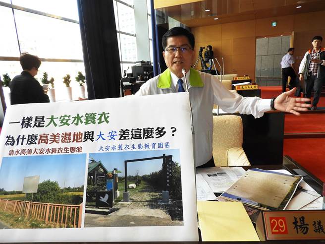 市议员杨典忠不满说，一样是大安水蓑衣，为何大安与高美溼地会差那么多？（陈世宗摄）