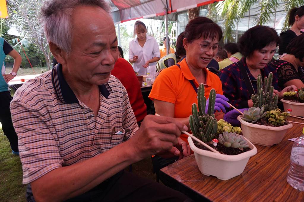 太需要被療癒 多肉植物diy人數暴增3倍 生活 中時