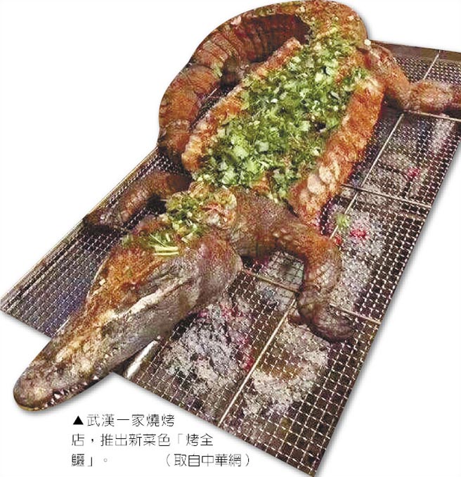 武漢一家燒烤店，推出新菜色「烤全鱷」。（取自中華網）