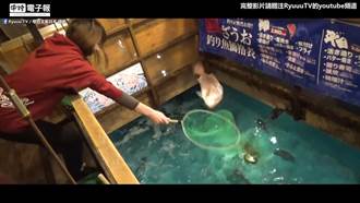 日本超新鮮現釣海鮮餐廳 自己的晚餐自己釣！