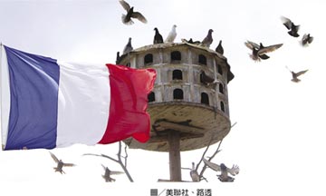 法國「鴿子」企業回巢