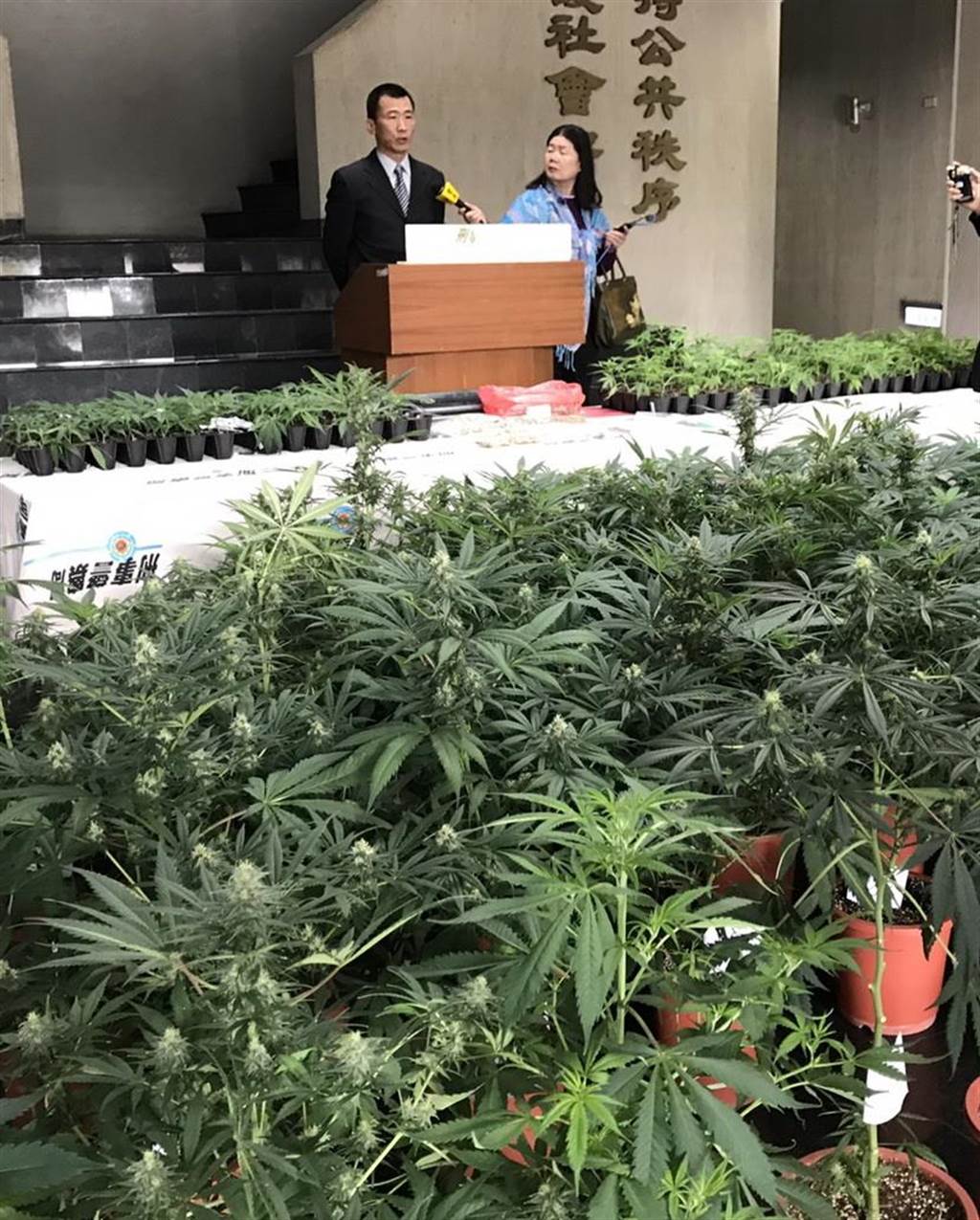 透天厝種大麻3個月收成搶暴利惹 麻 煩 新聞 中時