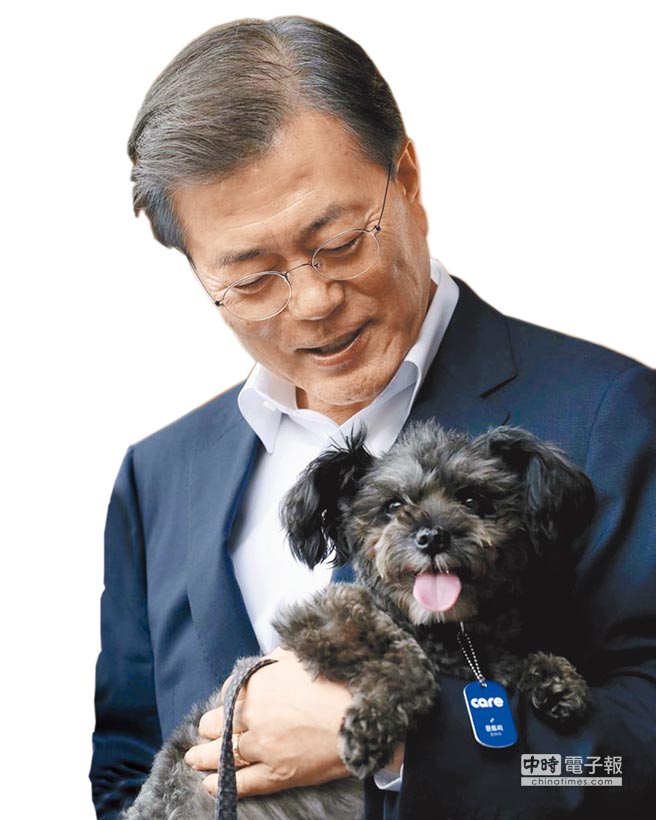 南韓總統文在寅上任後領養的混種黑狗「托利」，這隻「南韓第一狗」可愛模樣深得網友喜愛。（美聯社）