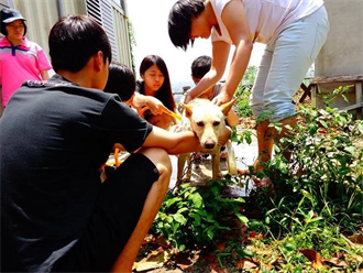 南華大學狗狗志工隊發揮巧思  讓「亭仔腳」成為上林社區的灶腳