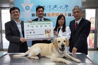 震災英雄犬「鐵雄」康復返院 獲免費醫療卡