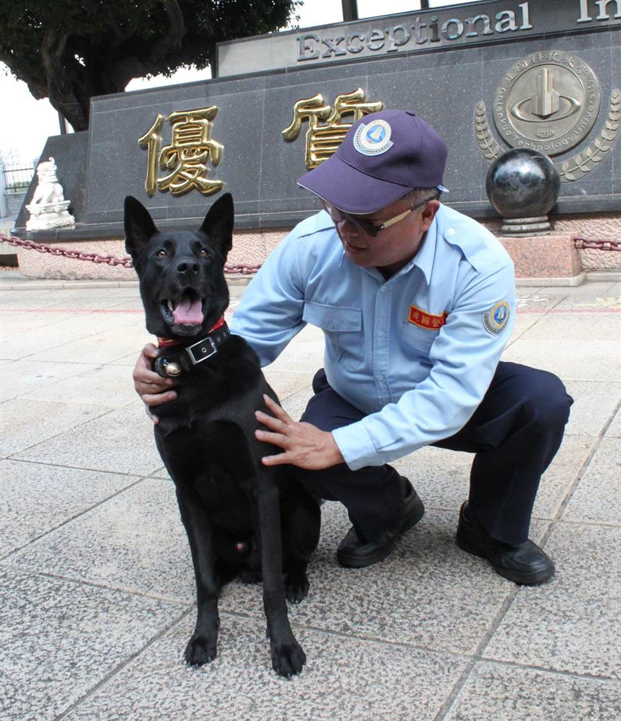 建国科大警卫犬巡逻校园流浪犬避走 时事 中时