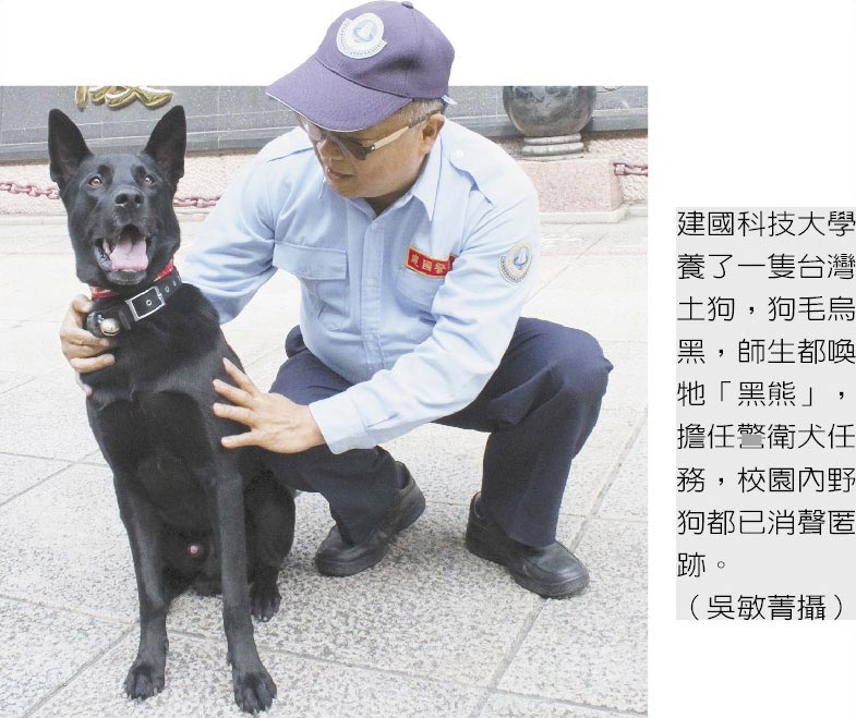 黑熊巡逻校园流浪犬跑光光 社会 中国时报