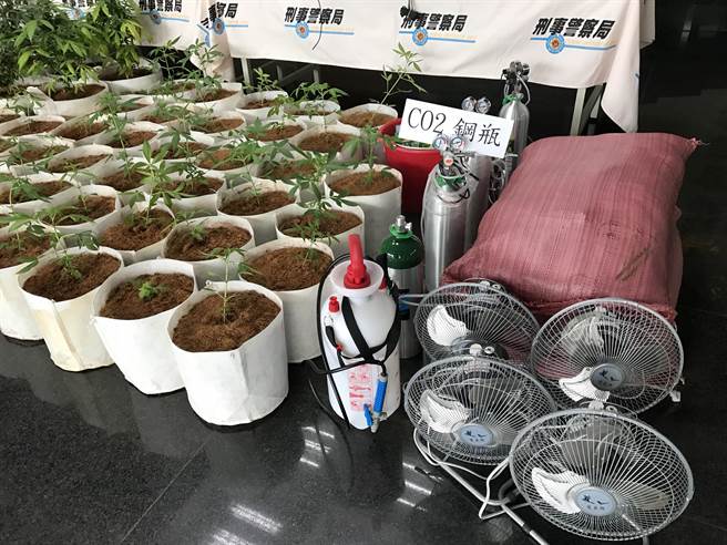 警方起獲種植大麻植株、大麻種子、大麻烘乾吊掛等設備。（盧金足攝）