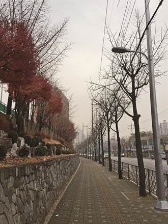 韩国人，你「潮」什么？-销魂喇舌房