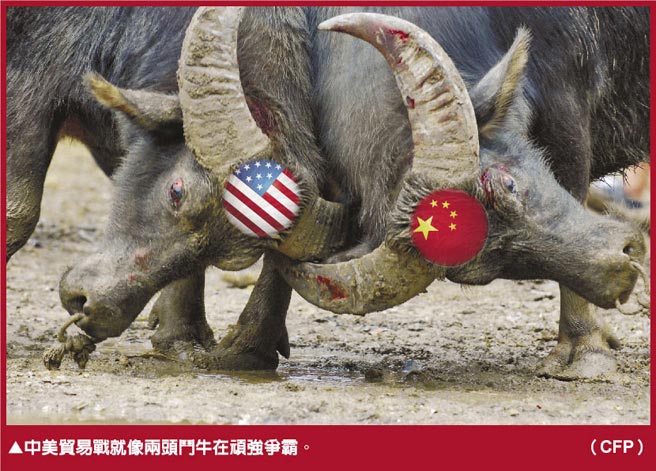 中美贸易战就像两头斗牛在顽强争霸。（CFP）