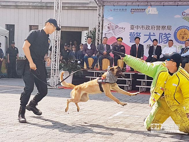 台中警犬隊成立緝毒偵爆靠牠們 地方新聞 中國時報