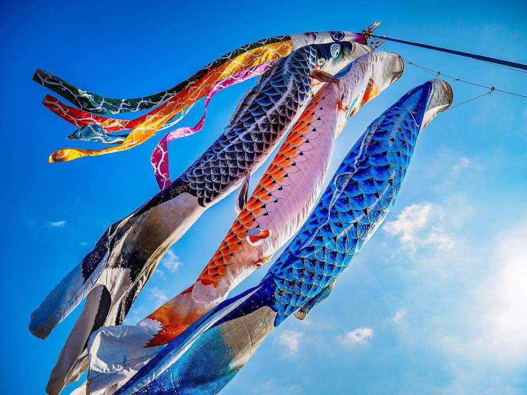 歡慶男孩節4300支鯉魚旗飄揚日本群馬天空 旅遊 中時