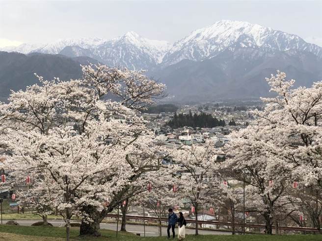 立山黑部大雪谷散步開通首日遇風雨喊停 旅遊 中時