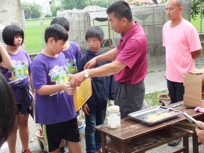 校長吳世宏(右二)與兩校師生一起進入養蜂場內採蜜，並從蜂箱中抽出巢脾讓孩子們觀察觸摸體驗。(謝瓊雲翻攝)