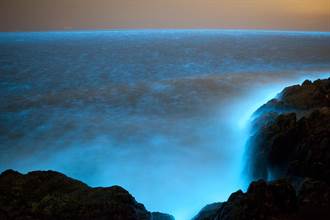 螢光熠熠耀海面 在日本鳥取發現「藍眼淚」自然奇景