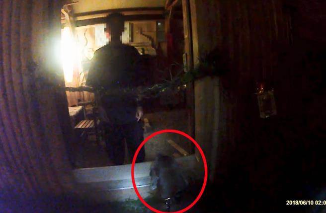 10日凌晨，民間搜救犬教官陳星瑋帶著搜救犬林志玲（紅圈處）前往華山大草原小木屋搜尋失蹤高女行蹤，與陳伯謙對話。（截自臉書《遊俠搜救犬隊-ranger rescue dog poucespecial force》影片）