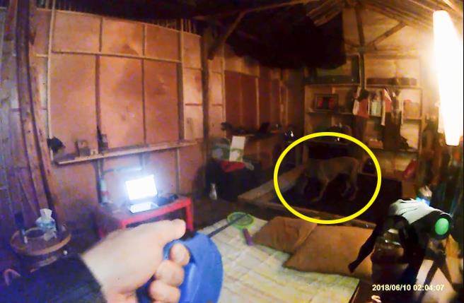 搜救犬林志玲（黃圈處）在陳伯謙床鋪上嗅聞。（截自臉書《遊俠搜救犬隊-ranger rescue dog poucespecial force》影片）