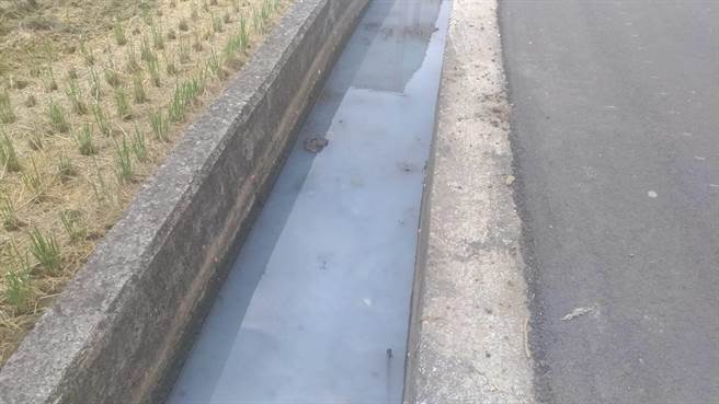 環保局稽查人員發現清水大排上游的灌溉溝渠，水質呈現乳白色，現場檢測水質，未檢出重金屬。（王文吉翻攝）