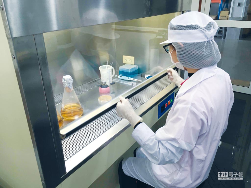 萬大酵素為業者代工的實驗室內無菌操作台純菌接種培養。          圖／王妙琴