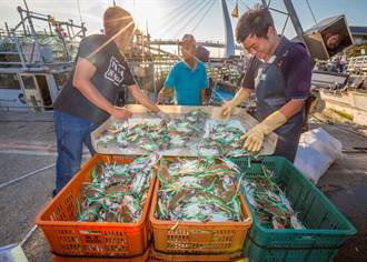 傳統蟹籠誘捕 友善漁法需鼓勵