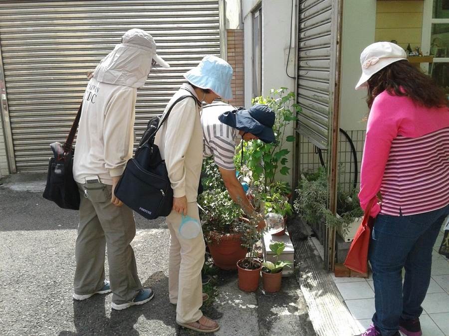 台中登革熱拉緊報!彰化縣衛生局提供接觸者快篩服務 - 生活 - 中時