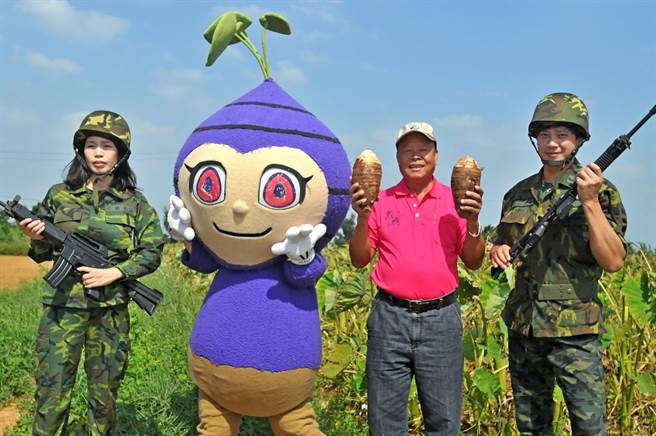 烈嶼鄉 芋頭季 29日開幕大家一起來吃喝玩樂 生活 中時