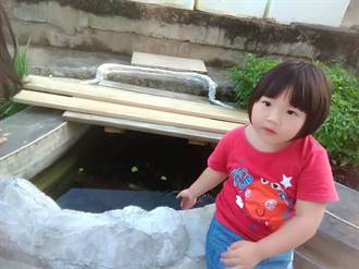琉球女童許函均愛養魚　爸爸蓋了一個小魚池給她