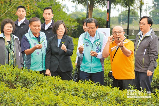 民進黨主席蔡英文（左3）10月31日到南投縣主持民進黨行動中常會，會前與總統府祕書長陳菊（左）、黨籍南投縣長參選人洪國浩（右3）到名間鄉參訪茶二指故事館。（中央社）