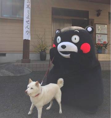 熊本熊 不是熊 他真实身分曝光让台湾网友傻眼 生活 中时新闻网