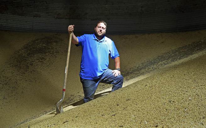 图为明尼苏达州农民站在堆积如山的大豆上。美国农民们因为美中贸易战而无法出口农产品，被迫在生活上削减非必要支出，是这次贸易战当中受伤最重的人群。（图／美联社）
