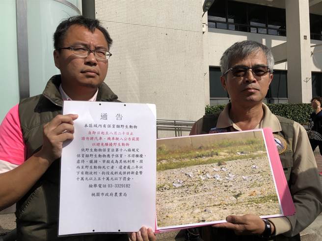 桃園市野鳥學會理事長吳豫州（右）20日拿出市府每年5月至8月禁止汽機車進入大潭藻礁區的公文，直言已經發包的中油工程車明年若進入，勢必違反野保法，將面臨最重5年期刑。（蔡依珍攝）