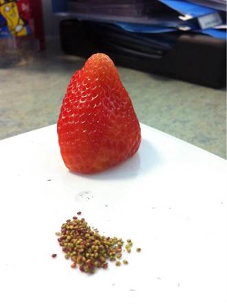 草莓去籽拔粉刺 五個「太閒」強迫症！