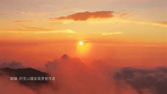 阿里山18号爱情丝路 婚拍打卡新夯点拍出「国外婚纱」感