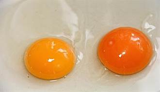 機能蛋更營養？學會這3招才能挑好蛋