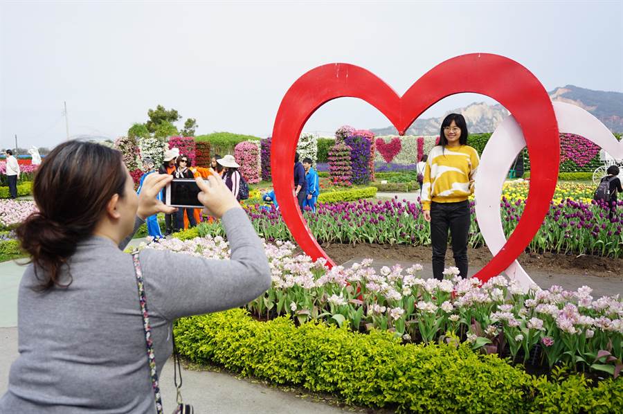 中社觀光花市鬱金香花季壓軸登場，吸引許多遊客前來賞花。（王文吉攝）
