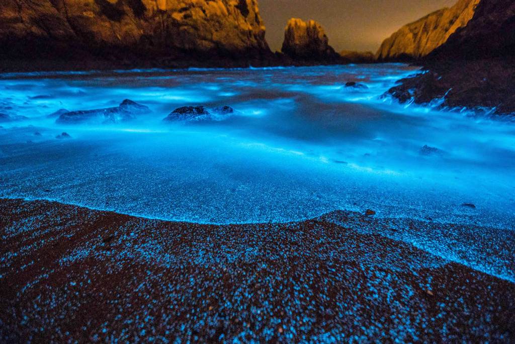 馬祖「藍眼淚」被CNN選為世界15大自然奇景、美國太空總署NASA列為國際級特殊景觀，每年4月至9月為藍眼淚旺季。（連江縣政府提供）