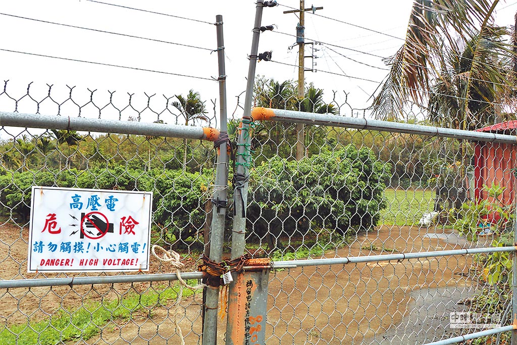 農民對用電網防猴害的評價褒貶不一。（謝佳潾攝）