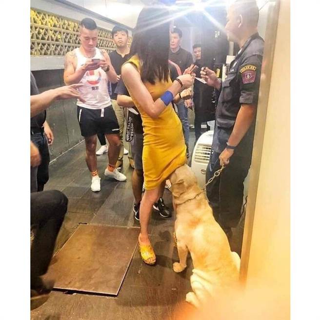 警犬查缉狂闻短裙妹两腿间 网：有人走私海鲜？（图／翻摄自《แก้เซ็ง》脸书）
