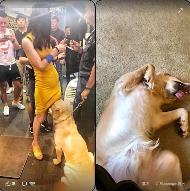 还有网友将照片合成恶搞，笑翻眾人。（图／翻摄自《แก้เซ็ง》脸书）