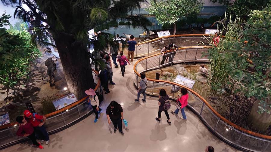 台江國家公園遊客中心有放大8倍的濕地生態物種模型供參觀。（程炳璋攝）