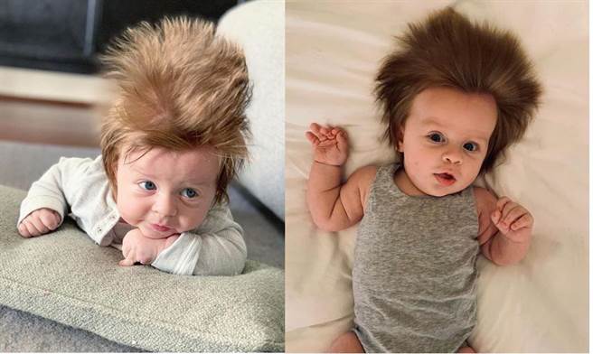 波士顿才4个月大，髮量就很惊人(图翻摄自IG/tarasimich)