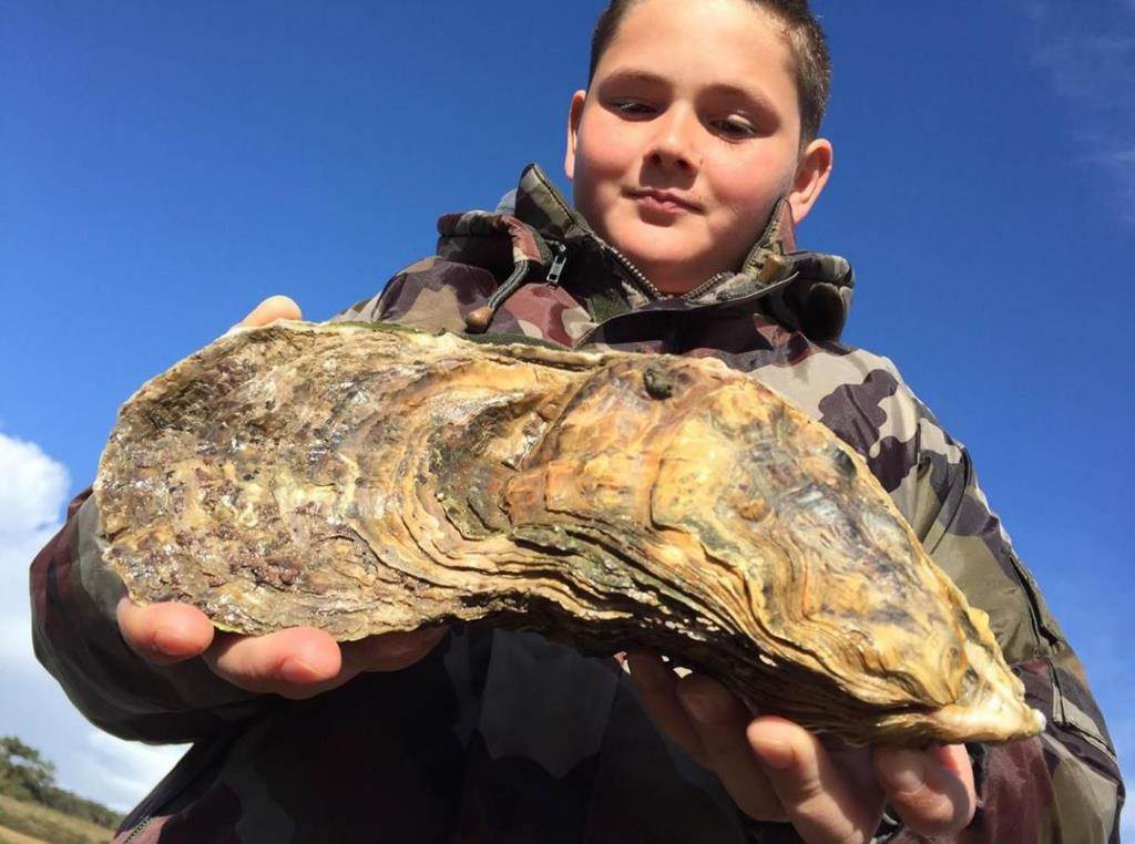 10歲男童河口撿到已活逾30年的臉盆大「巨無霸牡蠣」。(圖翻攝自/leparisien.fr)